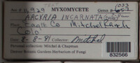 Image Associated With the Occurence